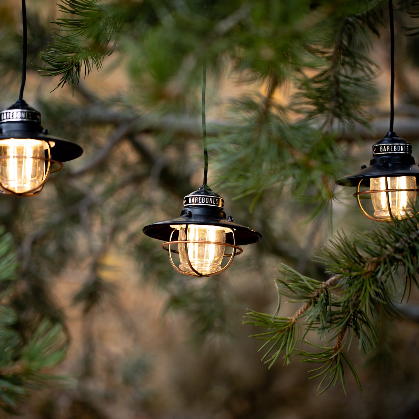 清貨優惠 BAREBONES LIVING  Edison Pendant String Lights 復古愛迪生式 LED 燈串